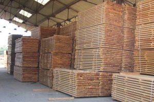 Stock de bois en séchage