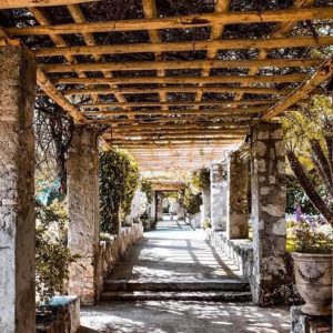 Rondins en châtaigner au monastère de cimiez à Nice