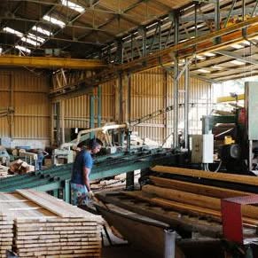 À l'usine, scierie de Biot
